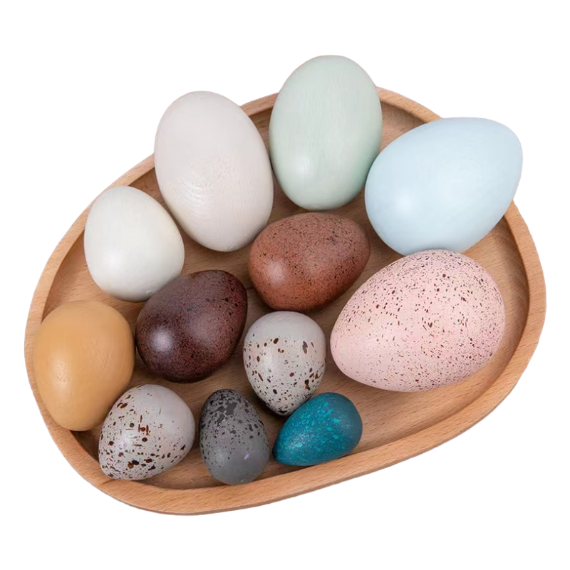 12 wooden bird eggs arranged in a tray