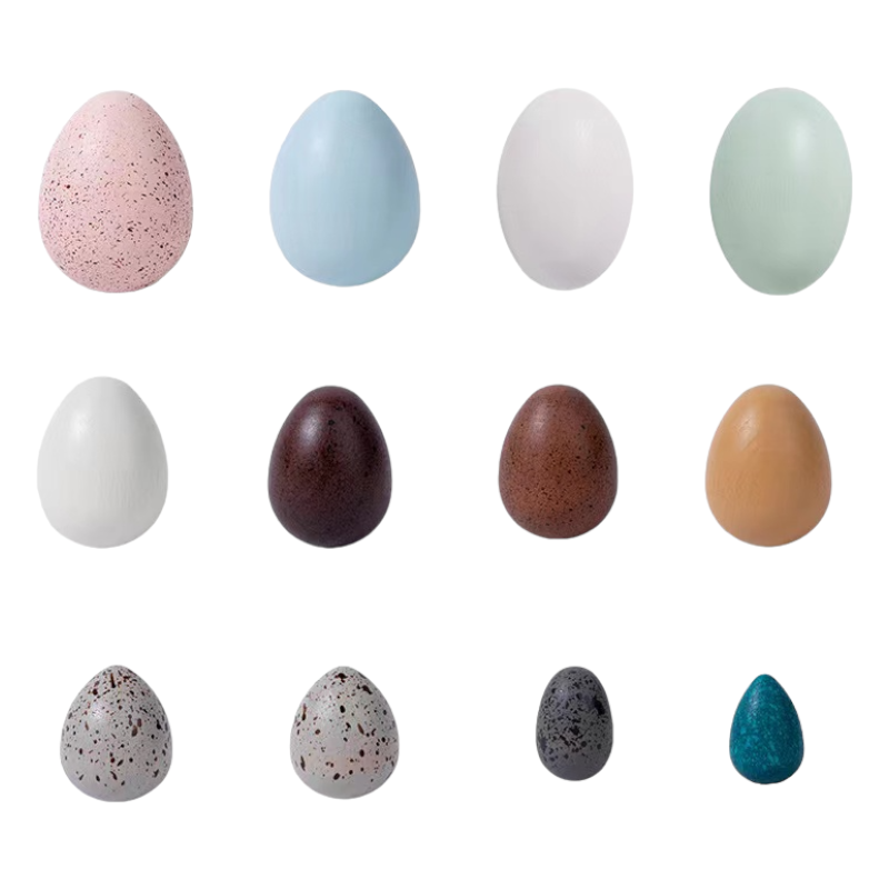 Twelve wooden bird eggs shown by color and size