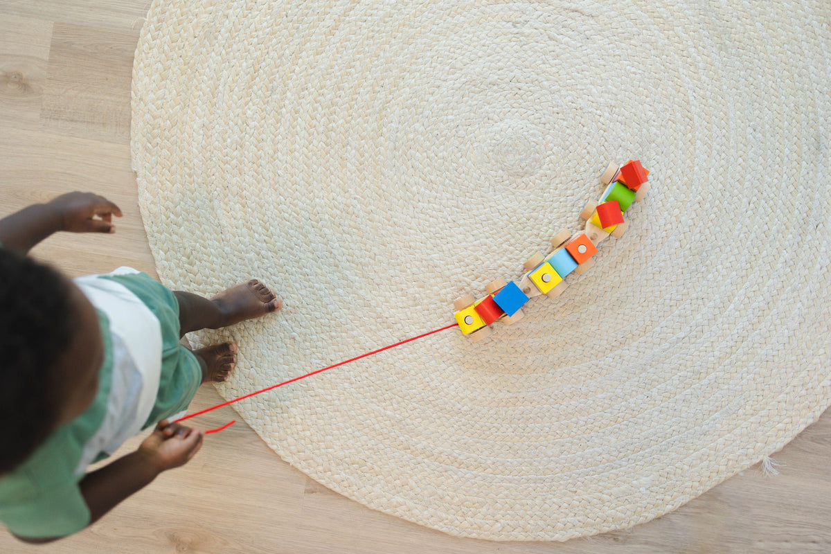 SpiritnSprout: Overhead view of the train being pulled across a circular rug
