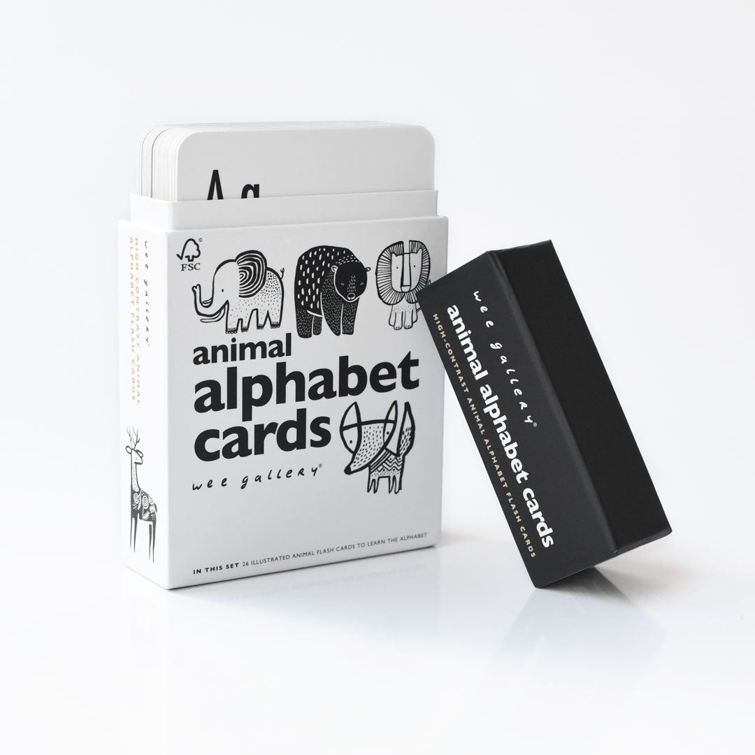 Alphabet Adventure Bundle - The Baby Penguin