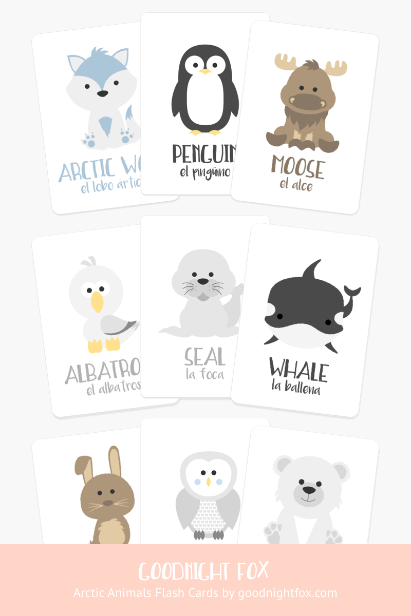 Animal 2 Flashcards Bundle - The Baby Penguin