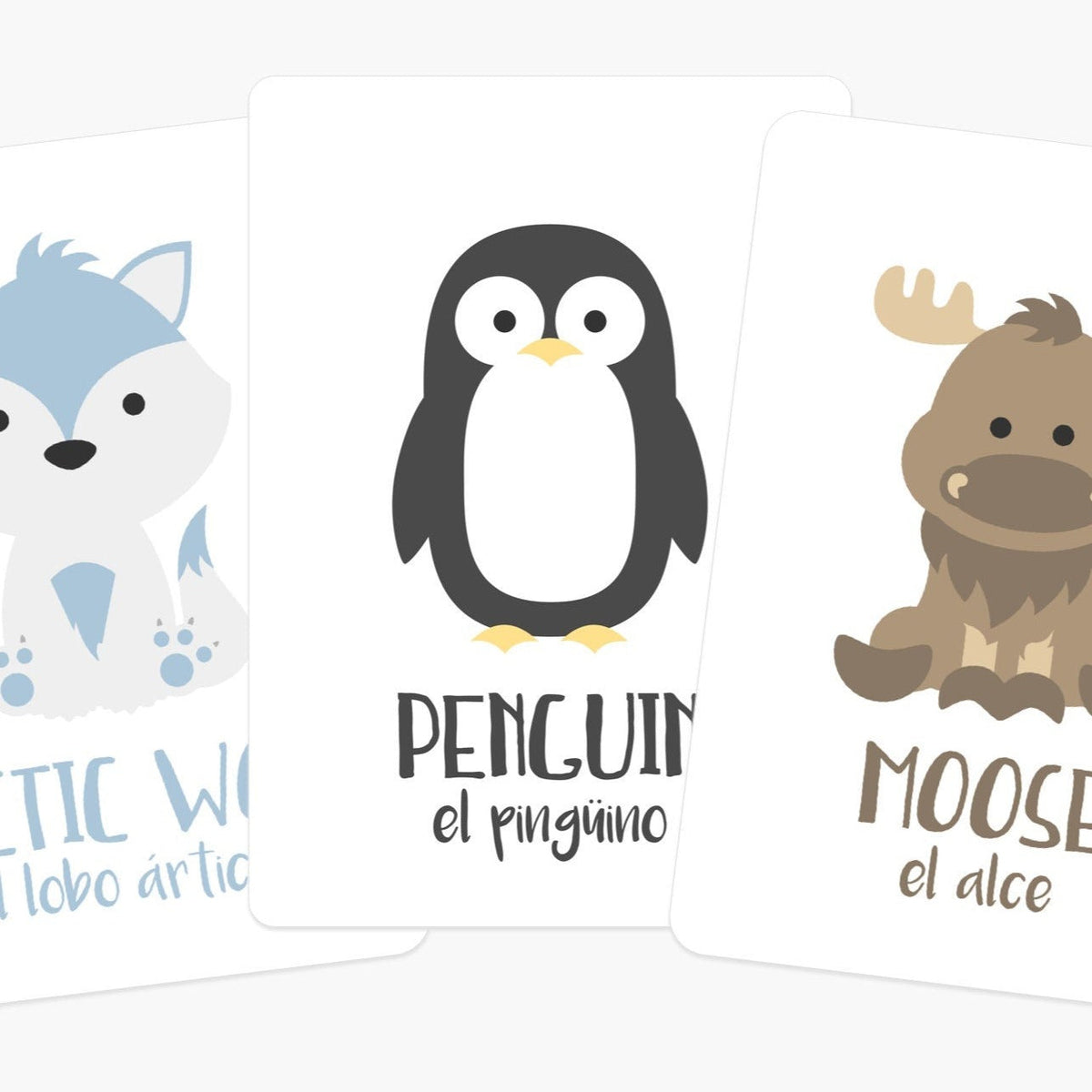 Arctic Animals Flashcards - The Baby Penguin