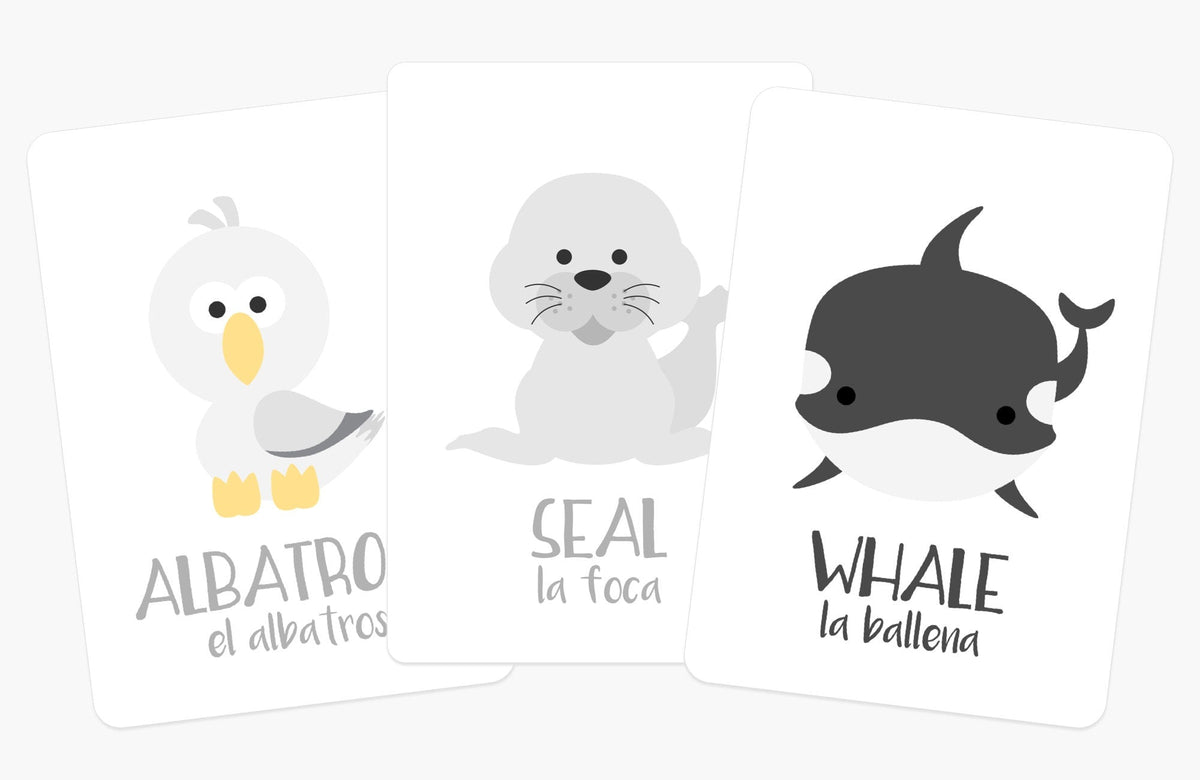 Arctic Animals Flashcards - The Baby Penguin