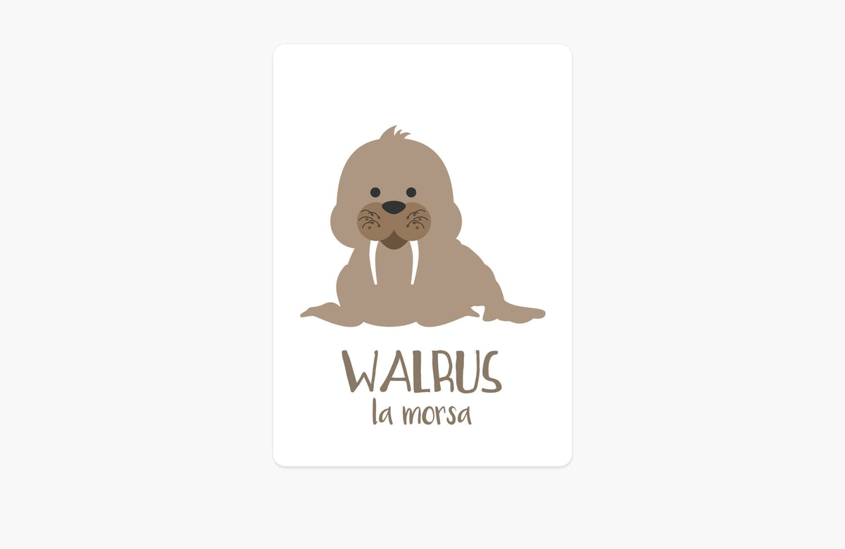 Arctic Animals Flashcards - The Baby Penguin