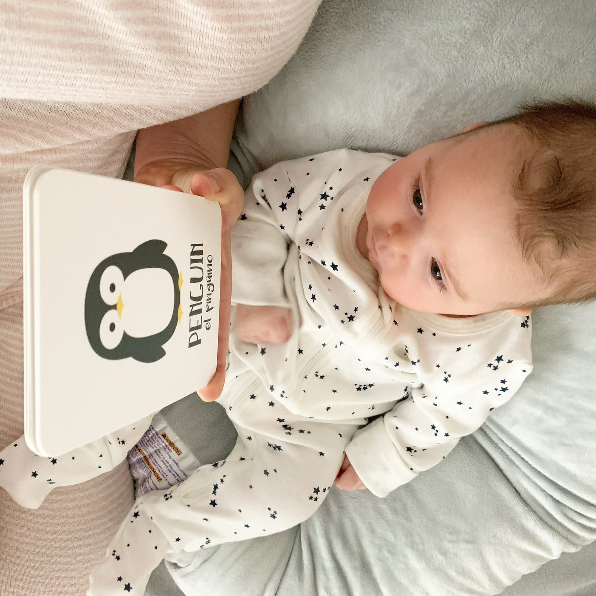 Arctic Animals Flashcards - The Baby Penguin