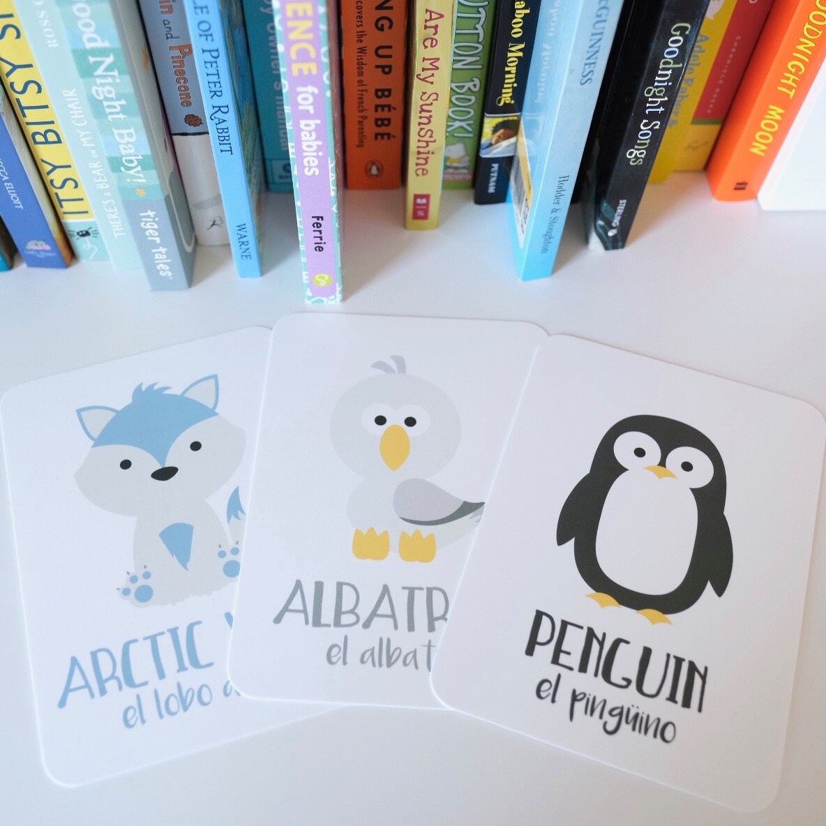Arctic Animals Flashcards - The Baby Penguin
