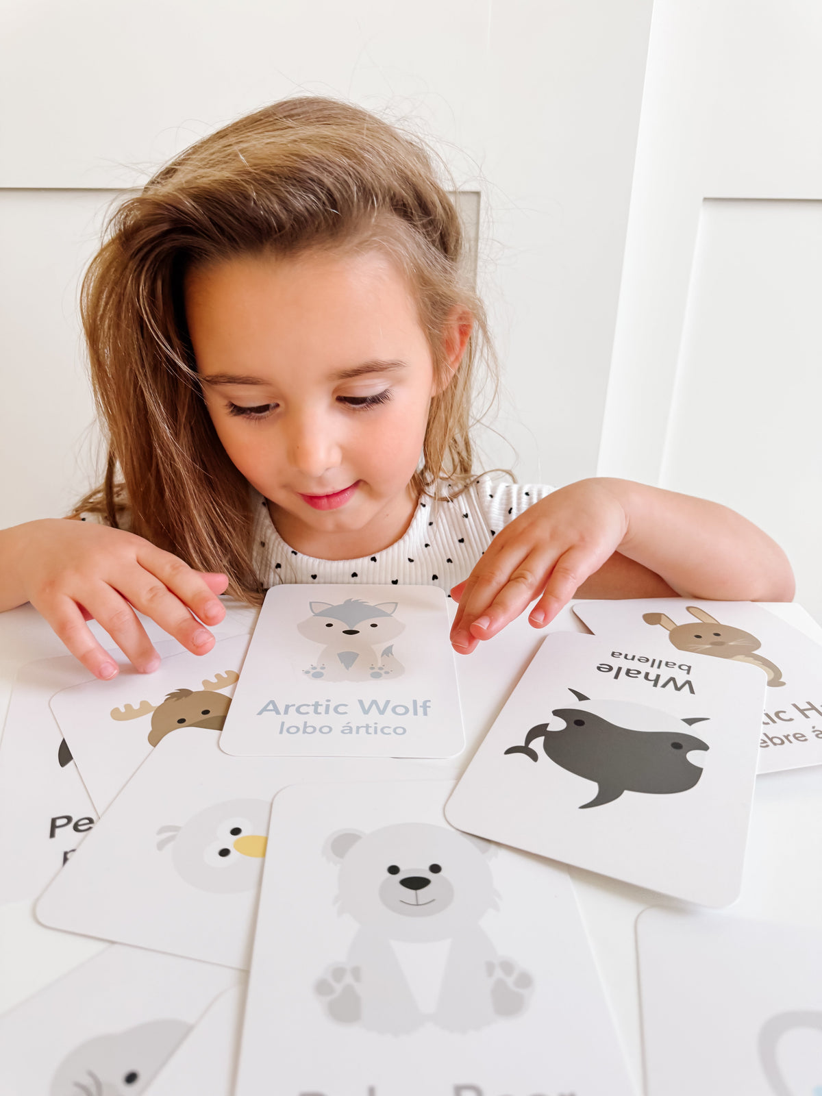 Arctic Animals Flashcards - The Baby Penguin