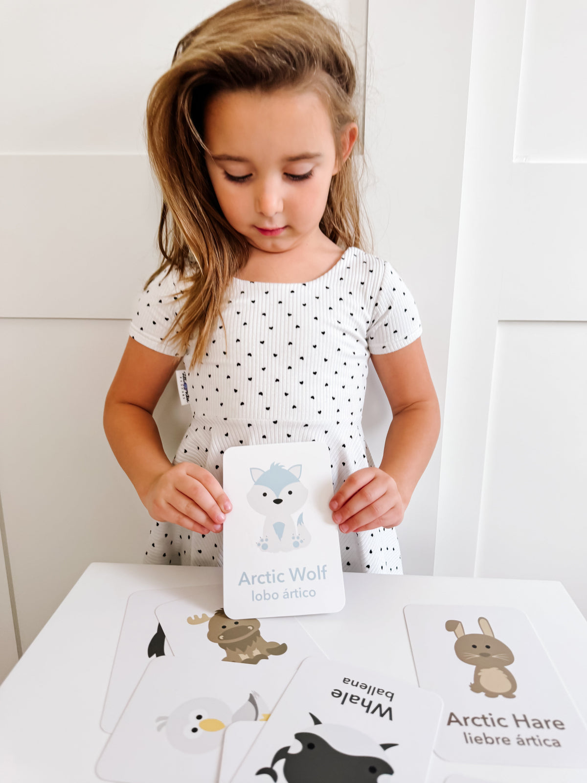 Arctic Animals Flashcards - The Baby Penguin