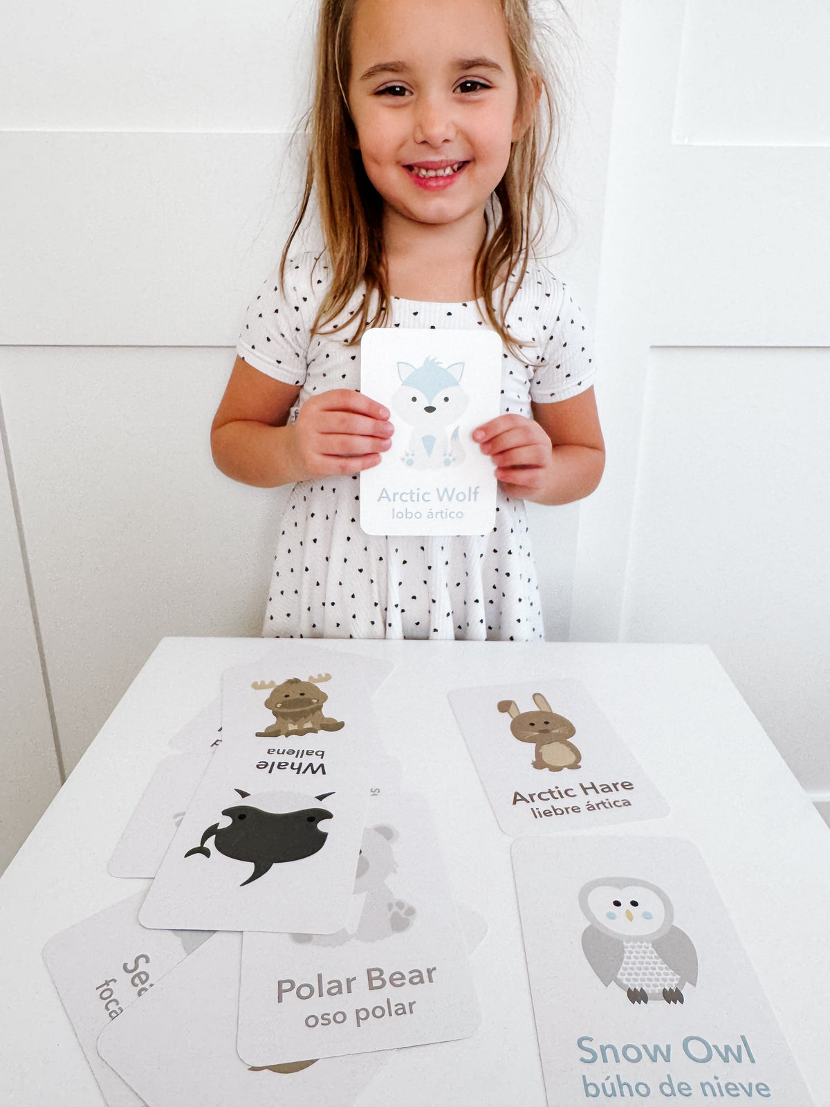 Arctic Animals Flashcards - The Baby Penguin