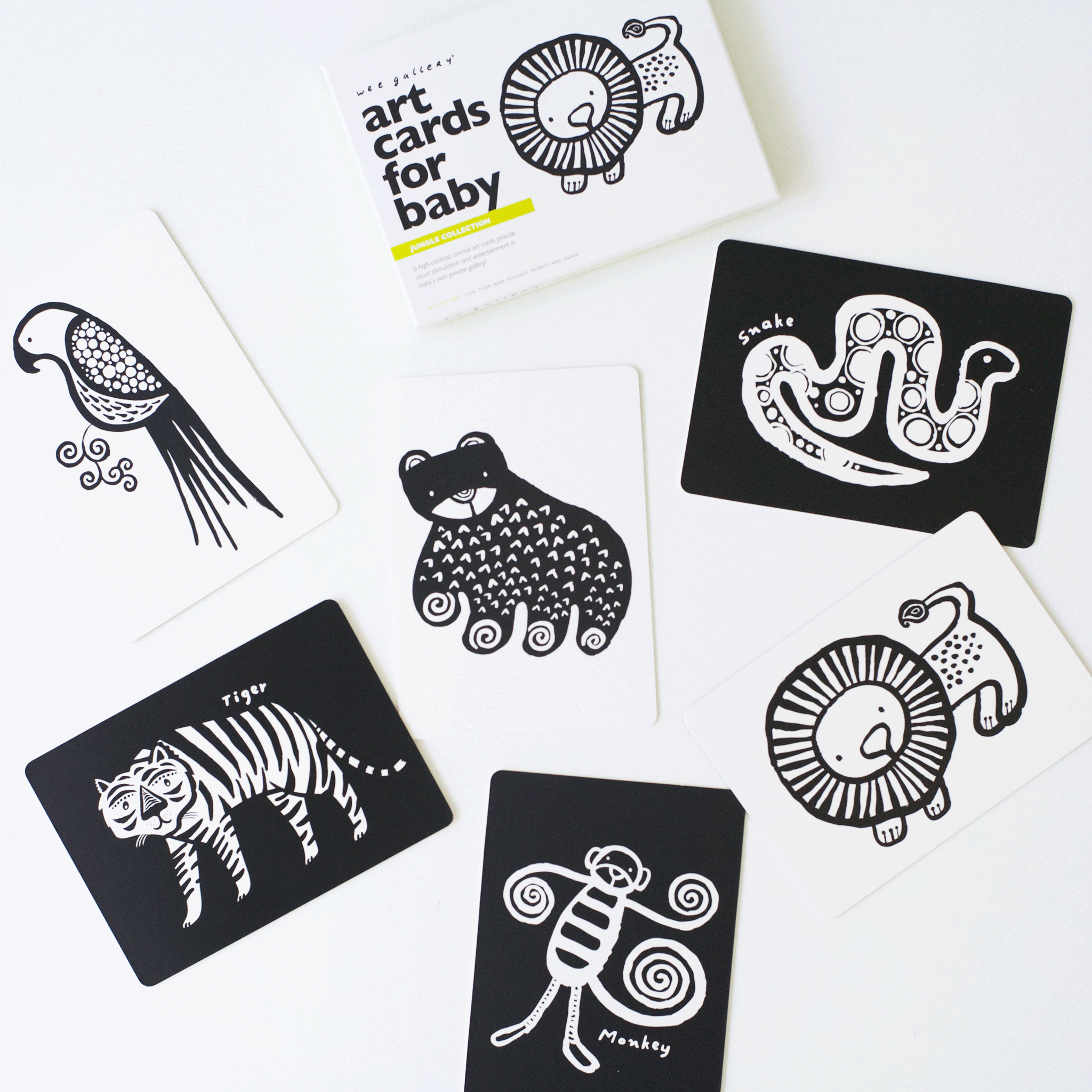 Art Cards for Baby - Jungle Collection - The Baby Penguin