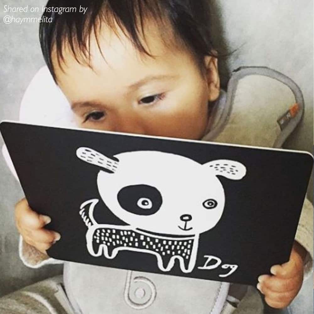 Art Cards for Baby - Pets Collection - The Baby Penguin