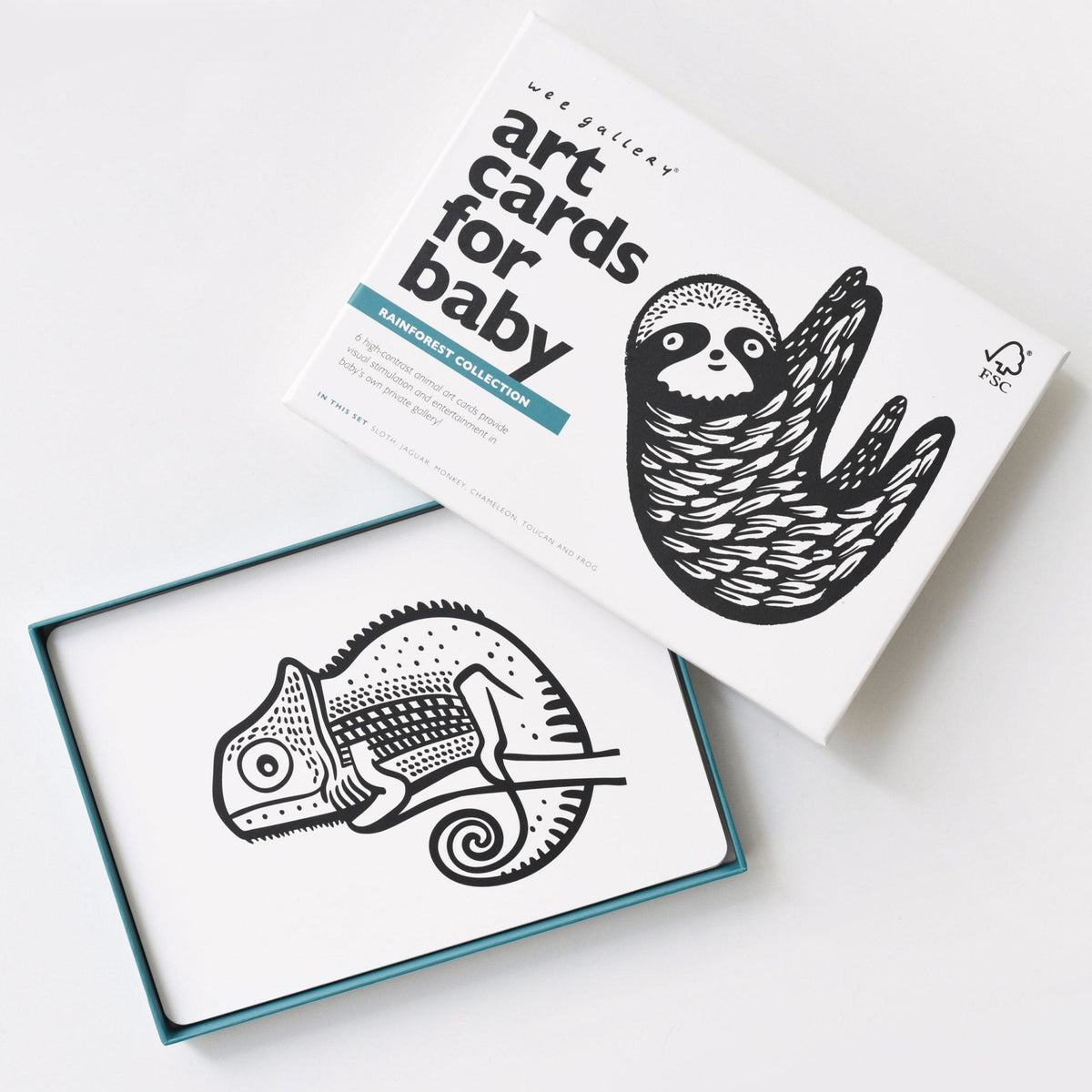 Art Cards for Baby - Rainforest Collection - The Baby Penguin