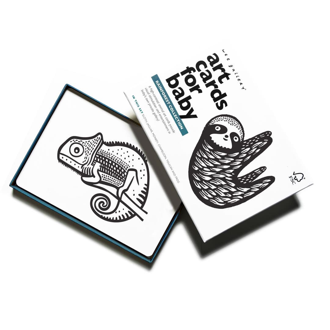 Art Cards for Baby - Rainforest Collection - The Baby Penguin