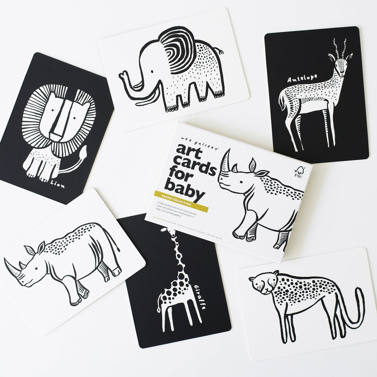 Art Cards for Baby - Safari Collection - The Baby Penguin