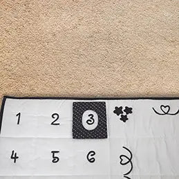 Baby Milestone Mat | Play mat | The Baby Penguin