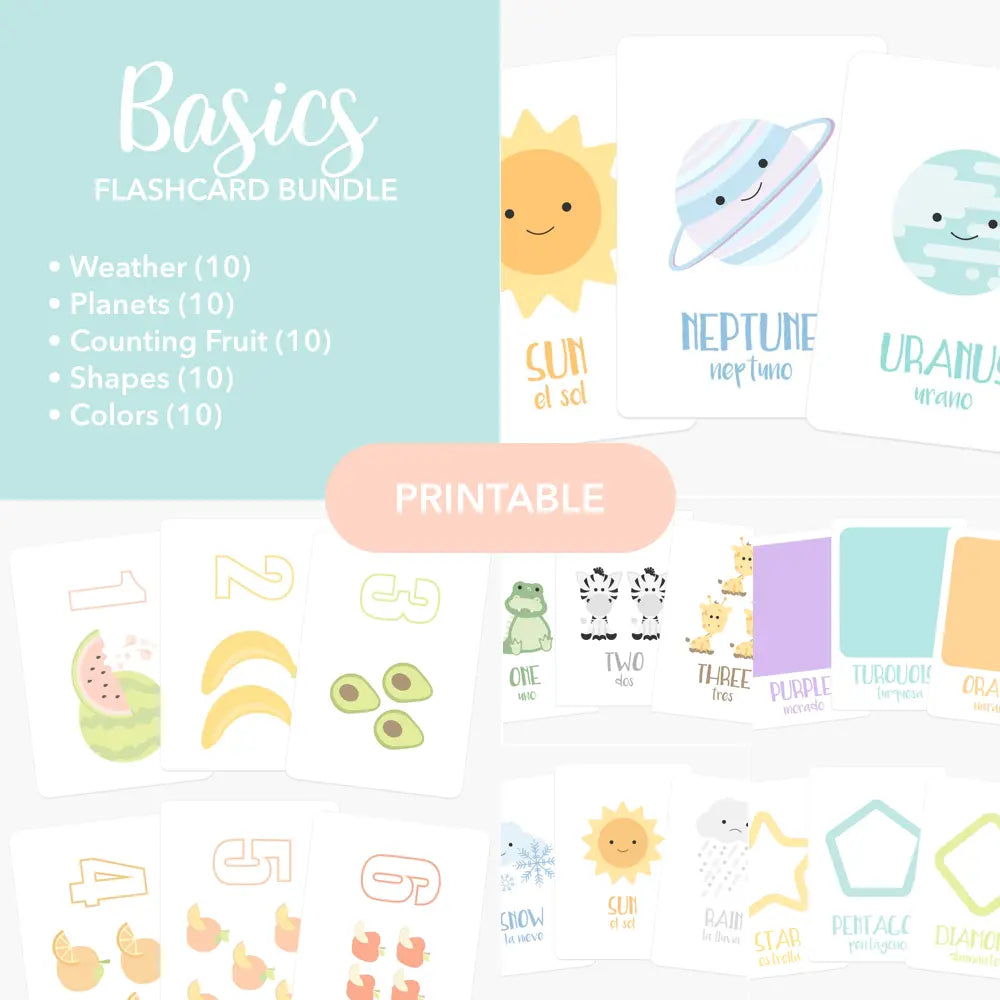 Basics Flashcards Printable | Educational Toys | The Baby Penguin