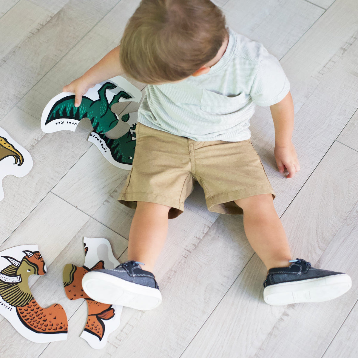 Beginner Puzzles - Dinos - The Baby Penguin