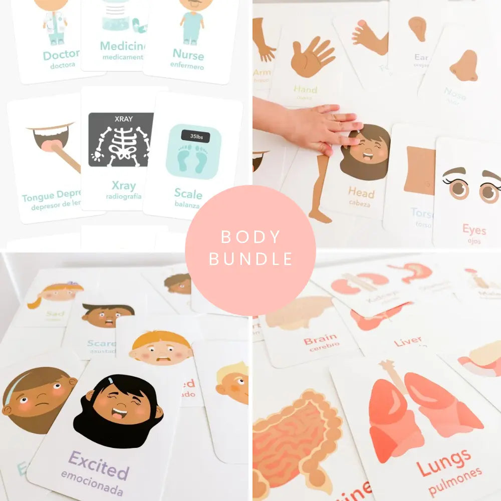 Body Flashcards Bundle | Educational Toys | The Baby Penguin