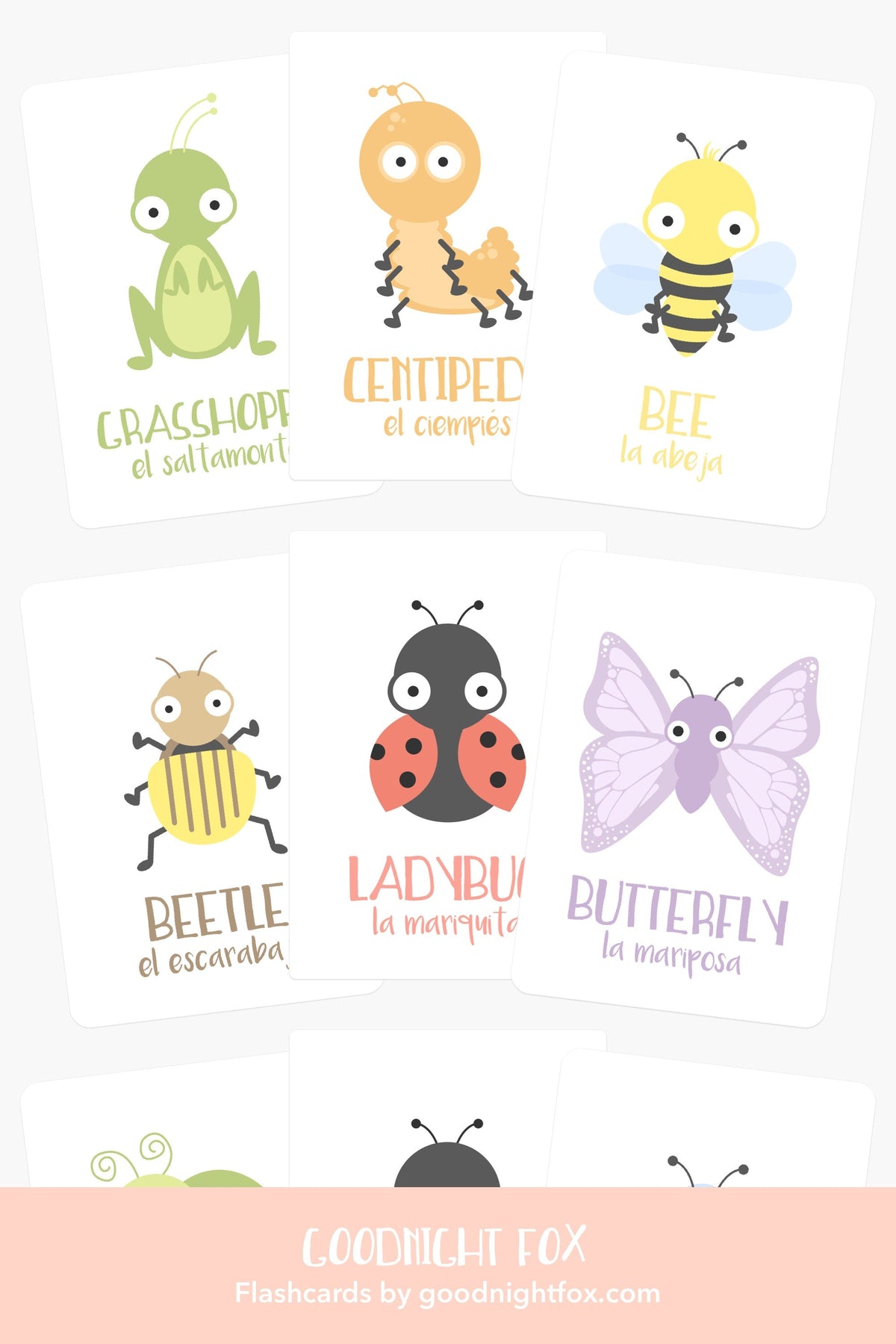 Bugs Flashcards - The Baby Penguin
