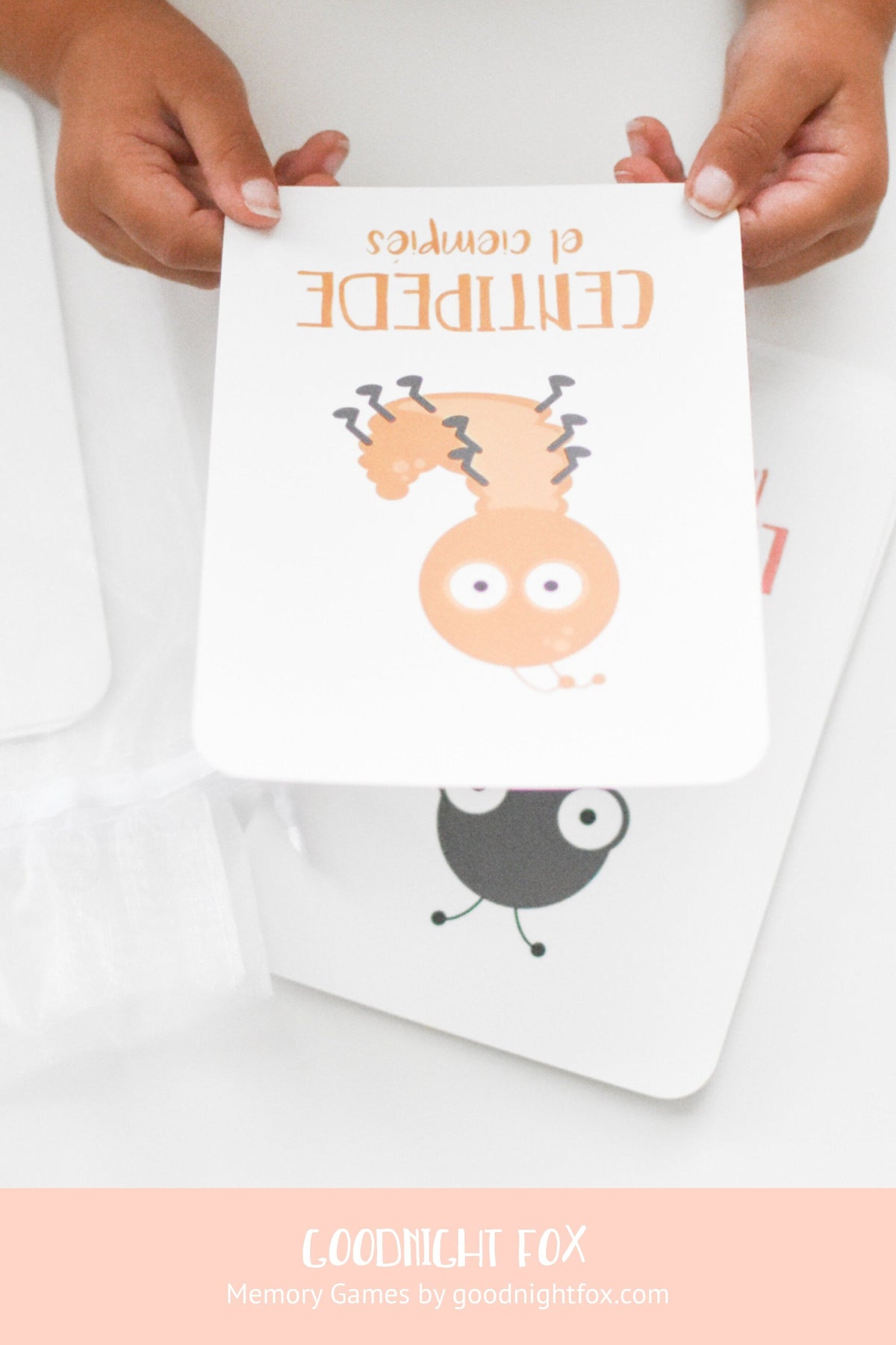 Bugs Flashcards - The Baby Penguin