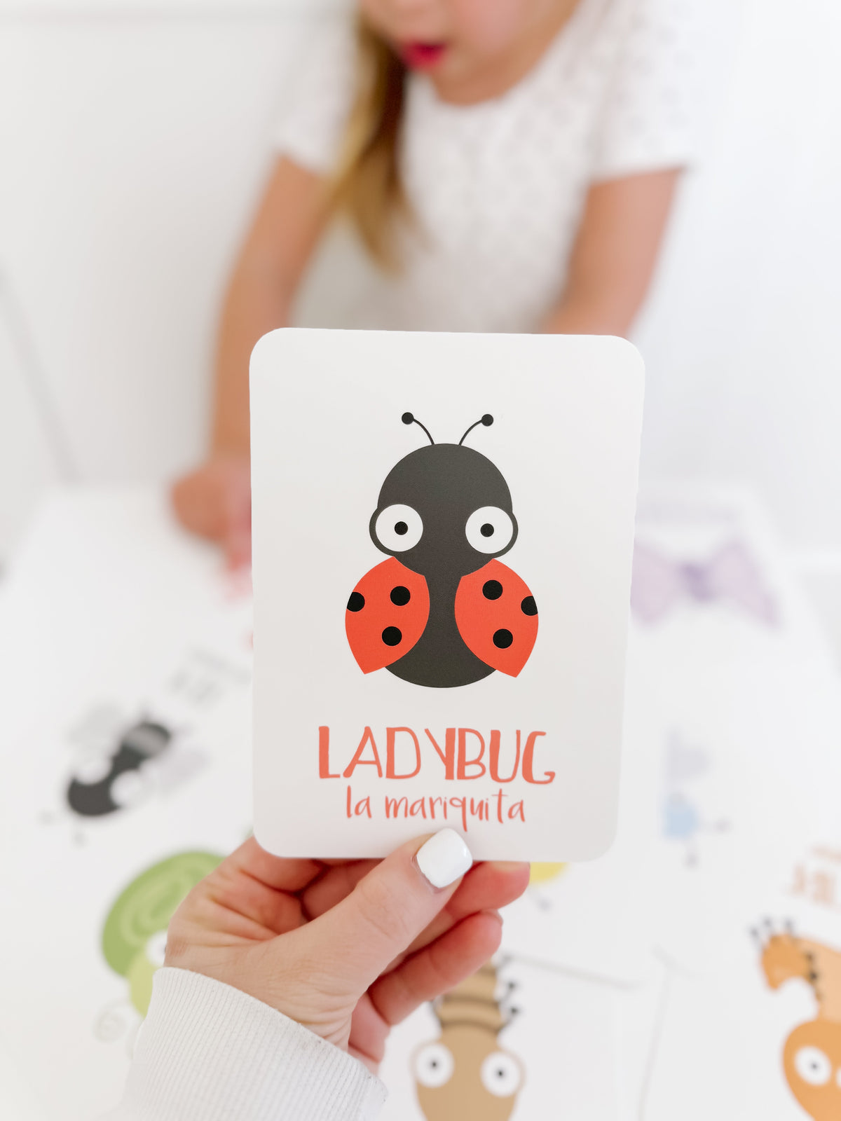 Bugs Flashcards - The Baby Penguin
