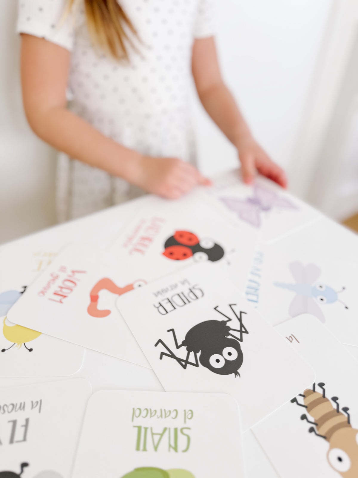 Bugs Flashcards - The Baby Penguin