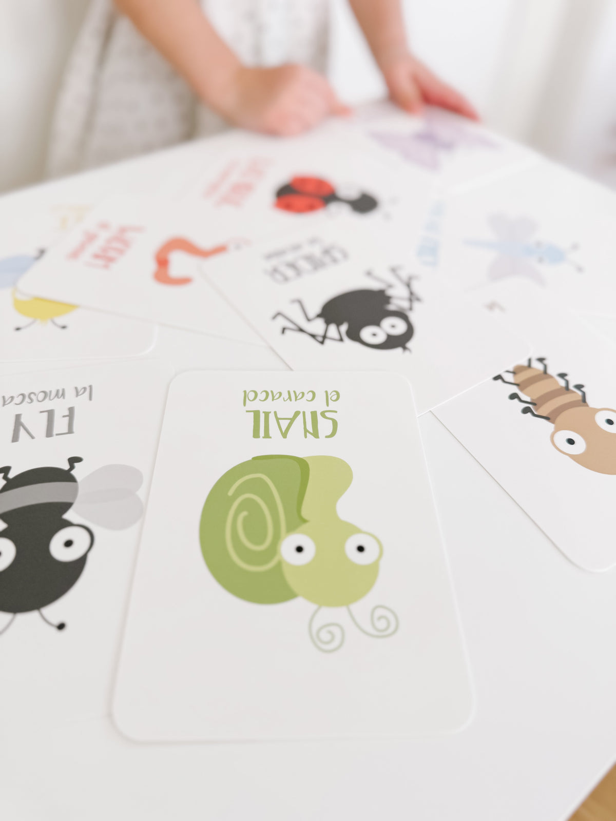 Bugs Flashcards - The Baby Penguin