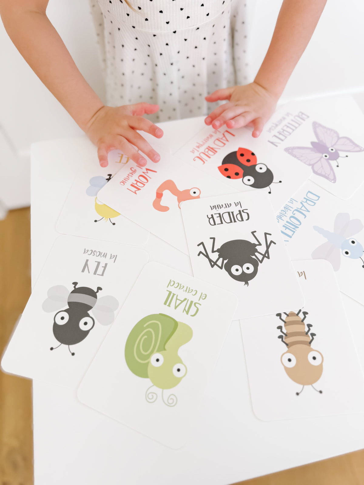 Bugs Flashcards - The Baby Penguin