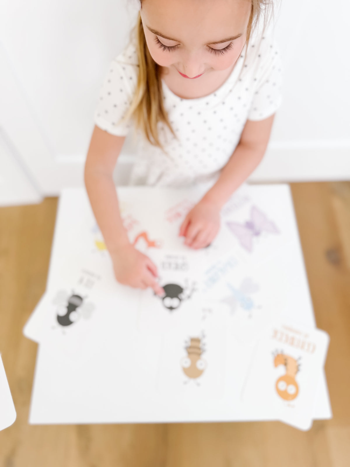 Bugs Flashcards - The Baby Penguin
