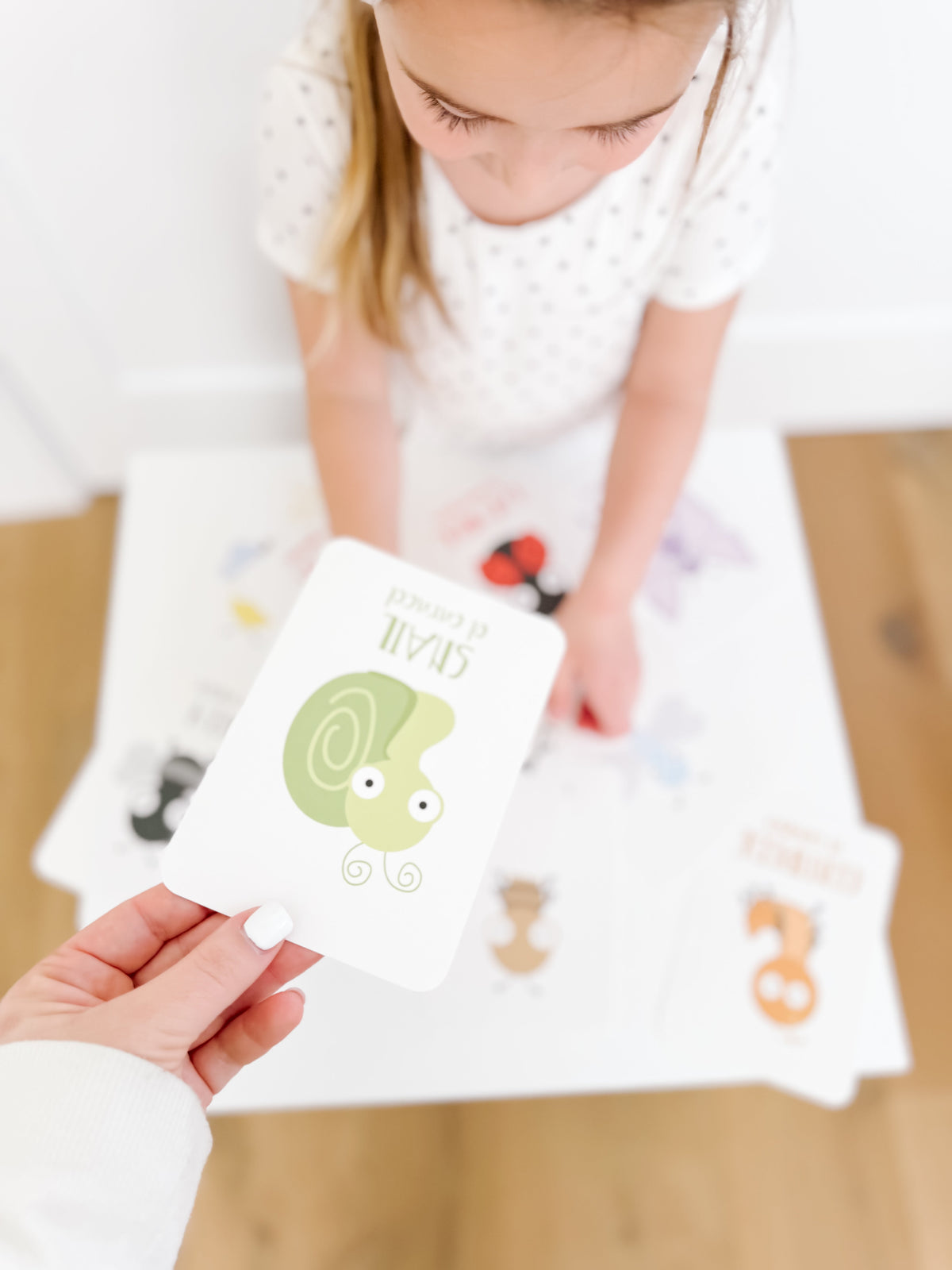 Bugs Flashcards - The Baby Penguin
