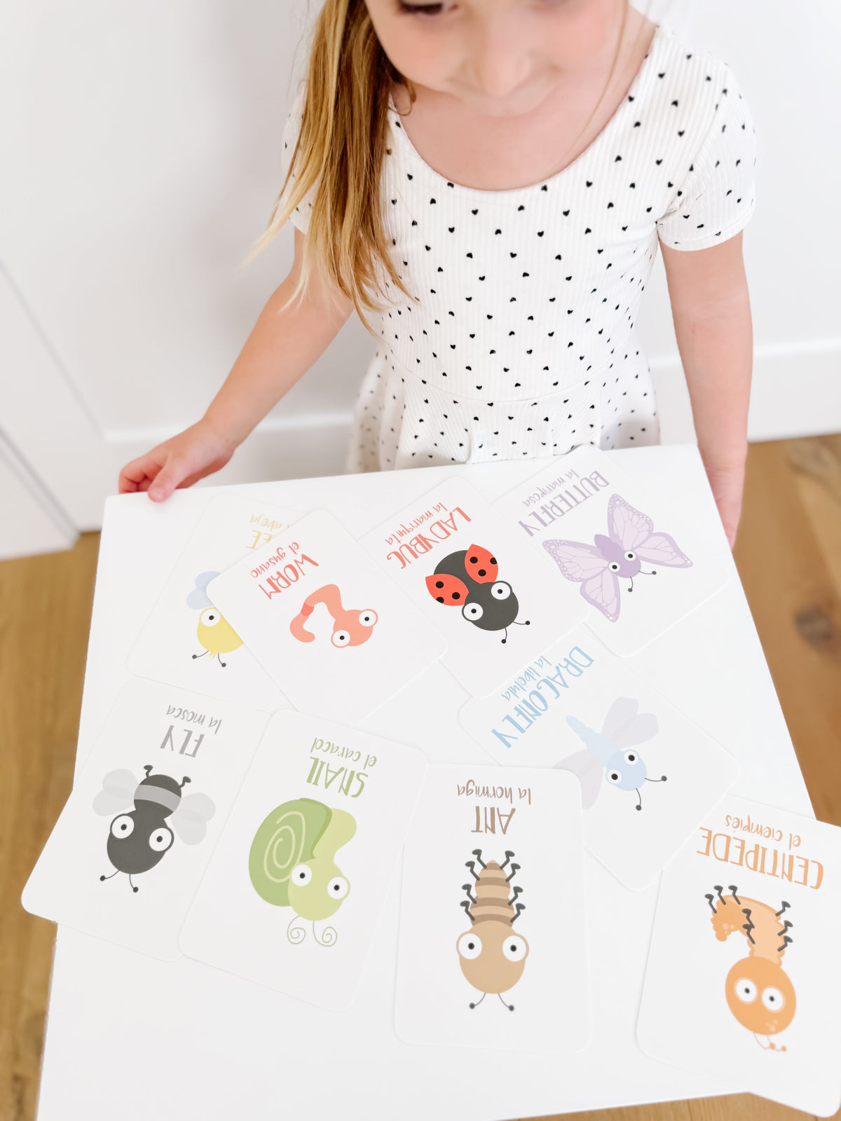 Bugs Flashcards - The Baby Penguin