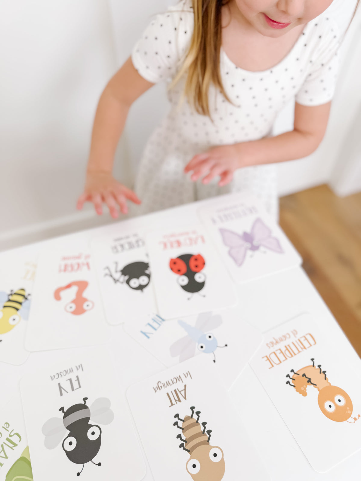 Bugs Flashcards - The Baby Penguin