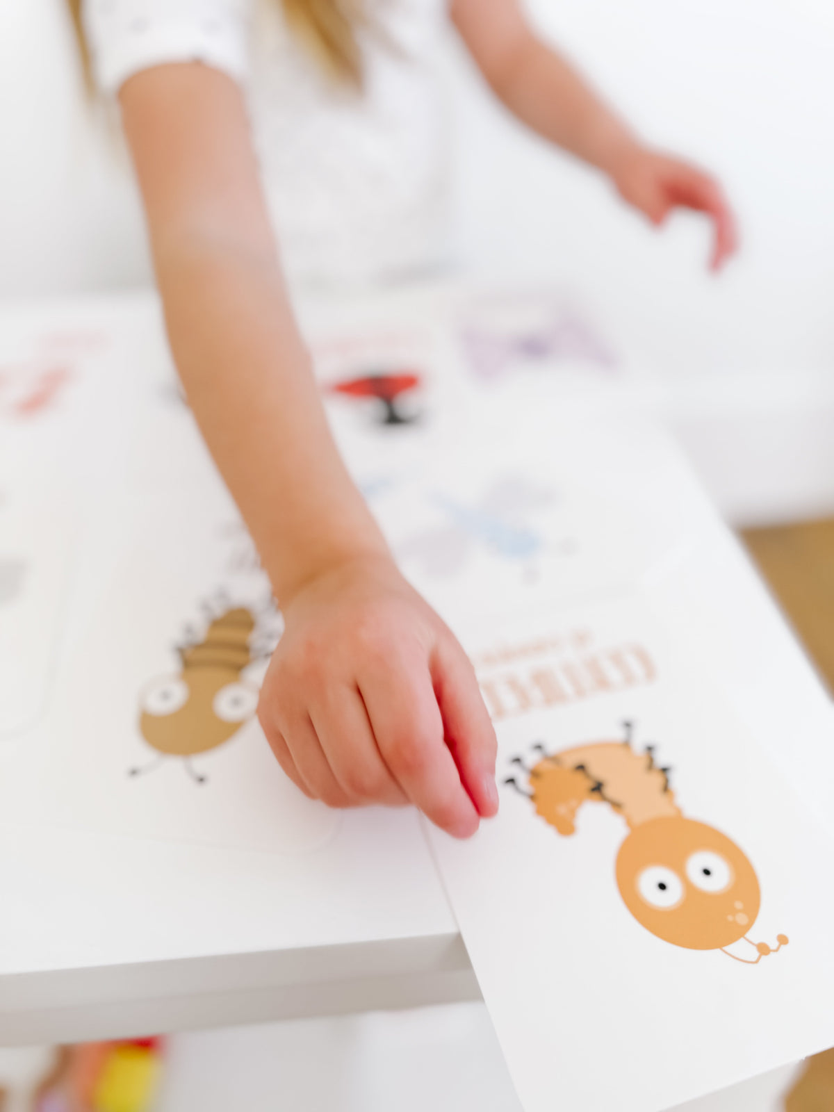 Bugs Flashcards - The Baby Penguin