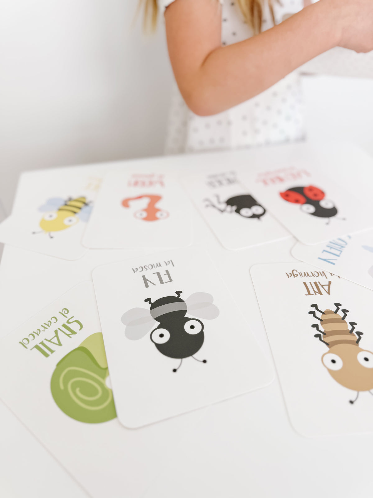Bugs Flashcards - The Baby Penguin