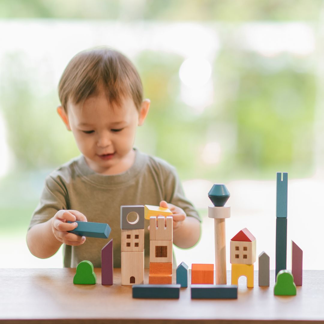 PlanToys Cityscape Wooden Building Blocks