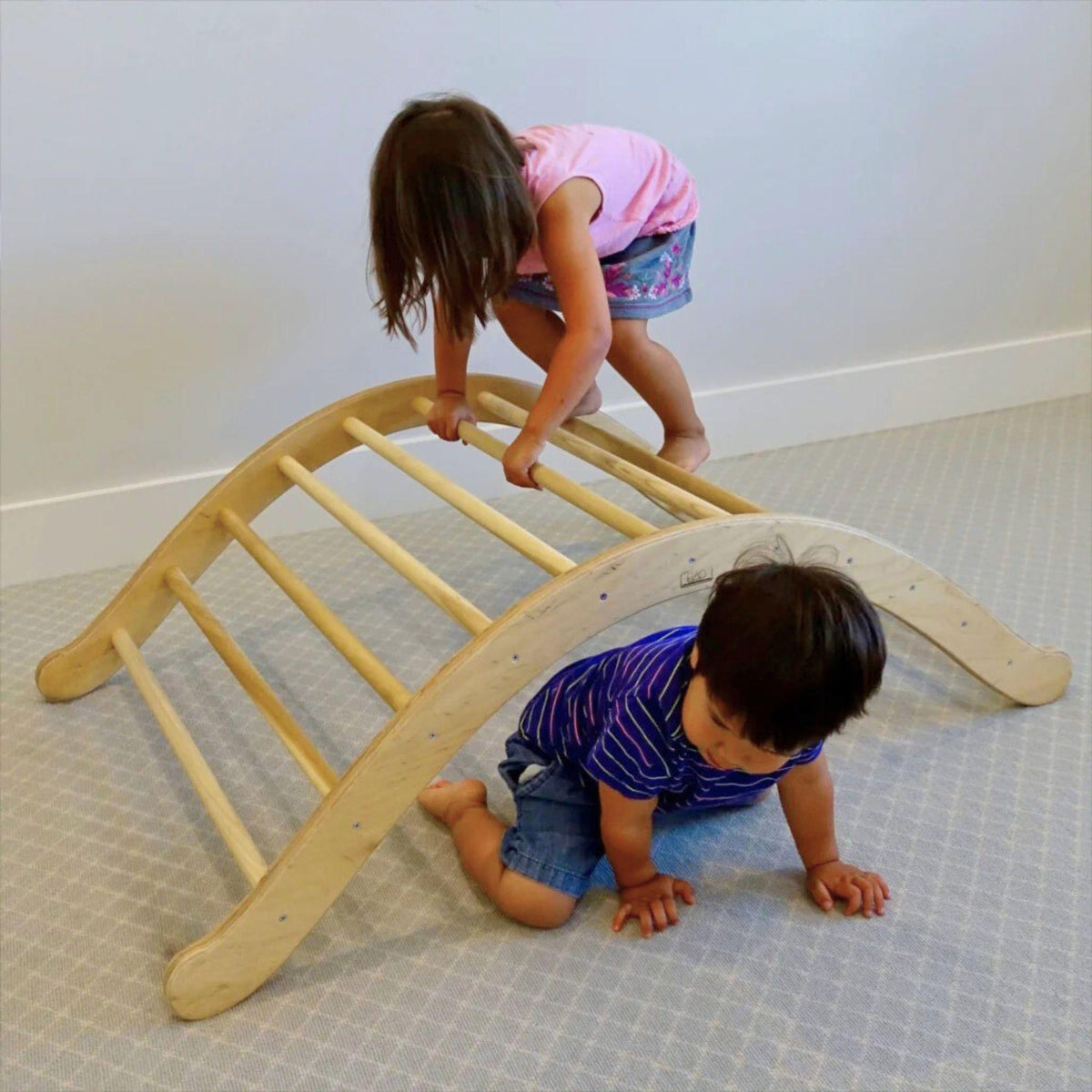 Climbing Arch - The Baby Penguin