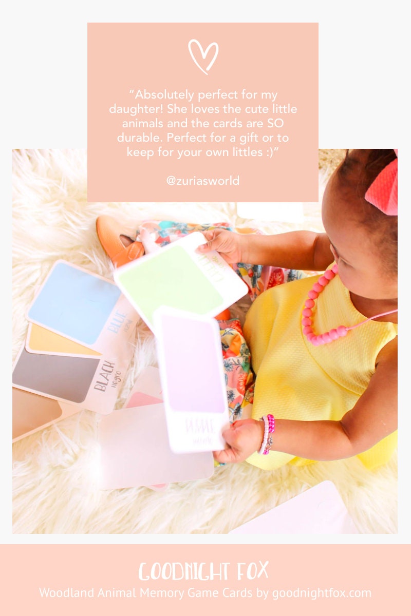 Color Sorting Flashcards - The Baby Penguin