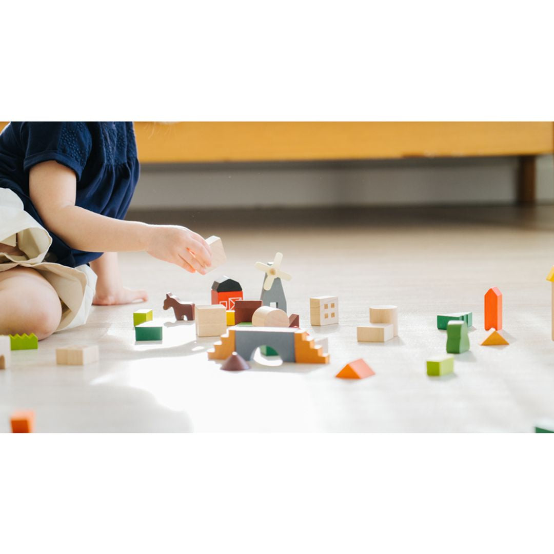 PlanToys Countryside Wooden Building Blocks, 45 Pieces