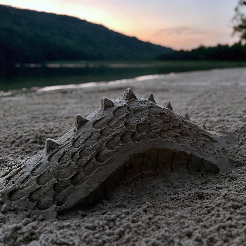 Curved sand sculpture with overlapping scales and raised spines beside a lake at sunset.