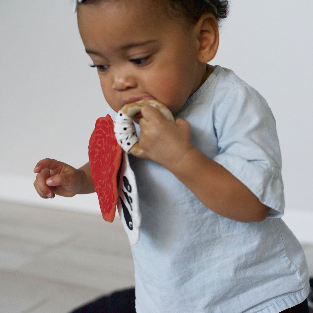 Crinkle Teether - Butterfly - The Baby Penguin