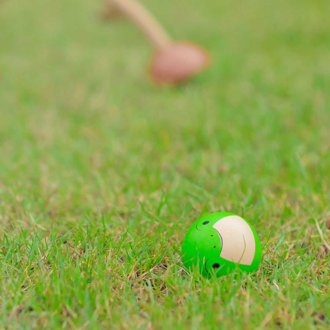 PlanToys Wooden Animal Croquet Set