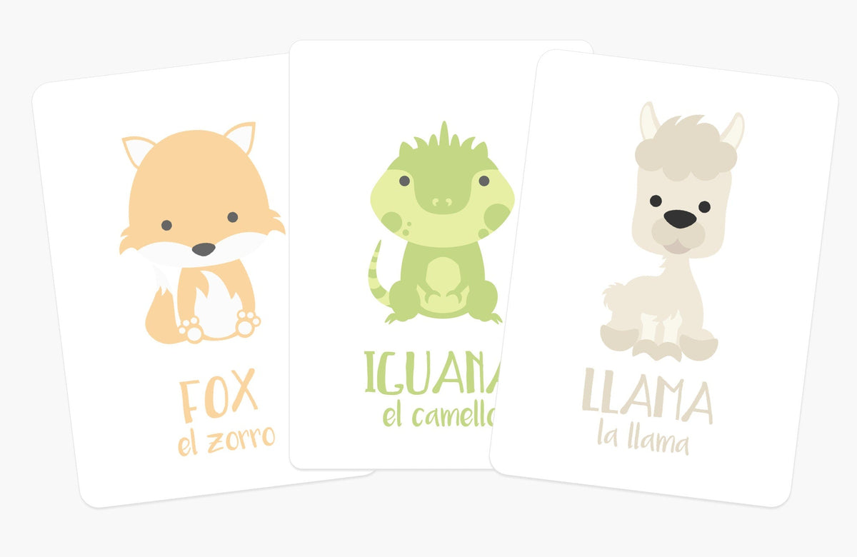 Desert Animal Flashcards - The Baby Penguin