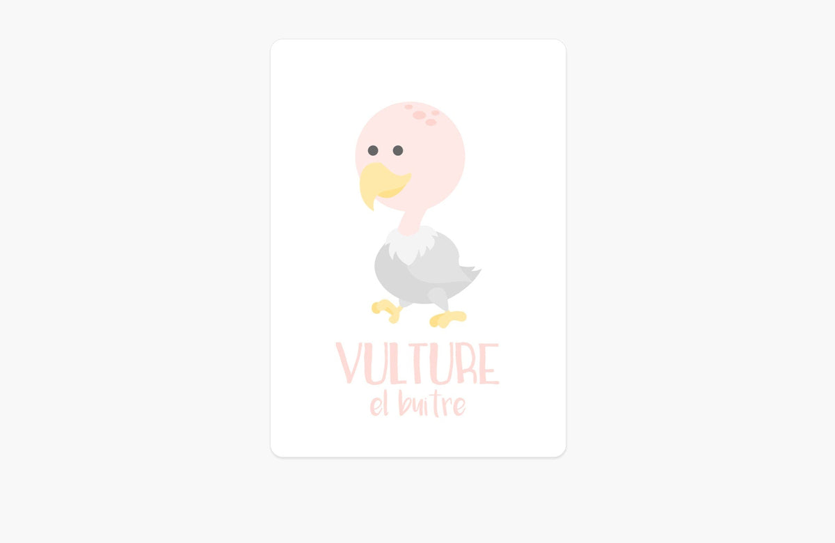 Desert Animal Flashcards - The Baby Penguin