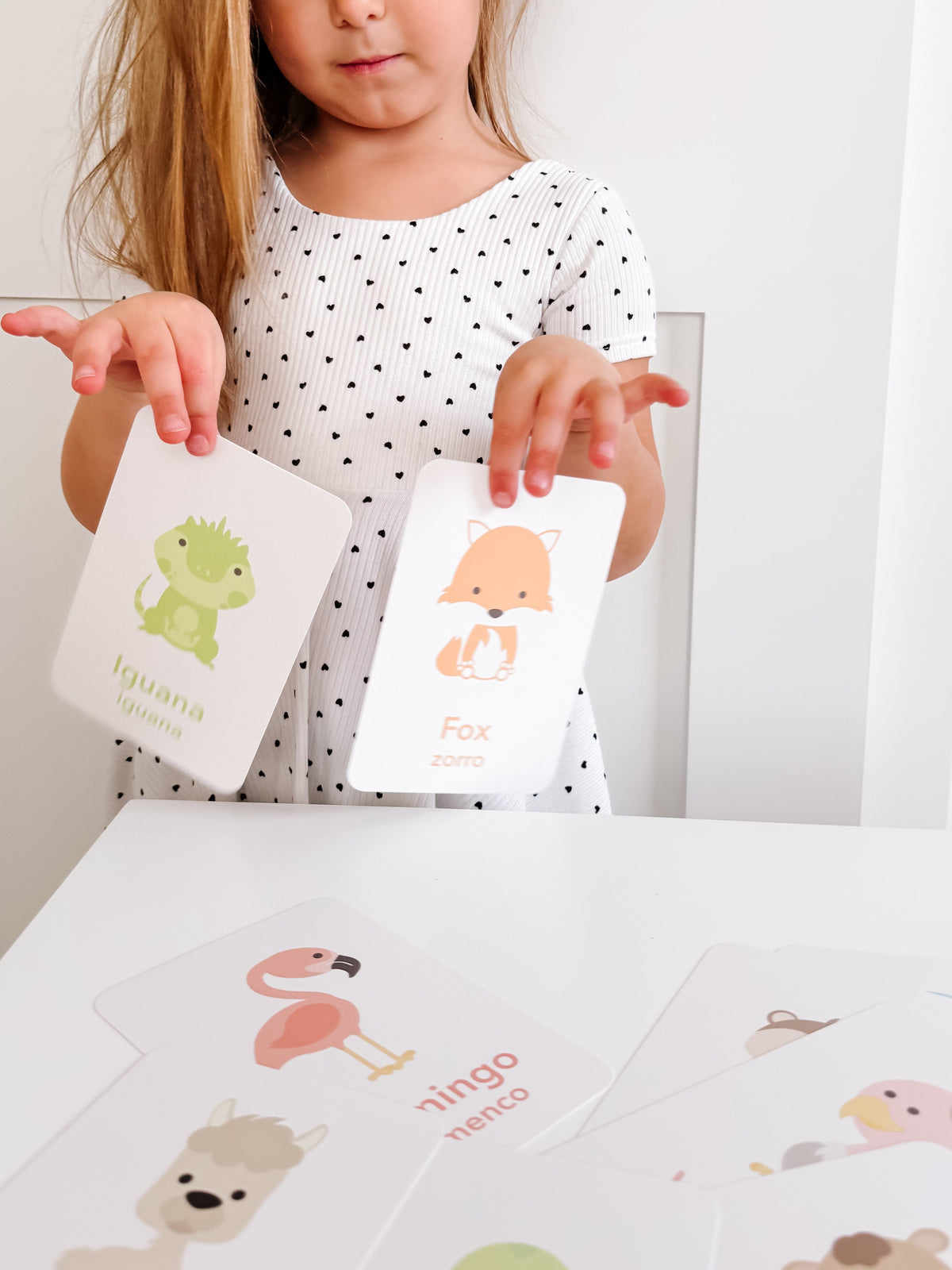 Desert Animal Flashcards - The Baby Penguin