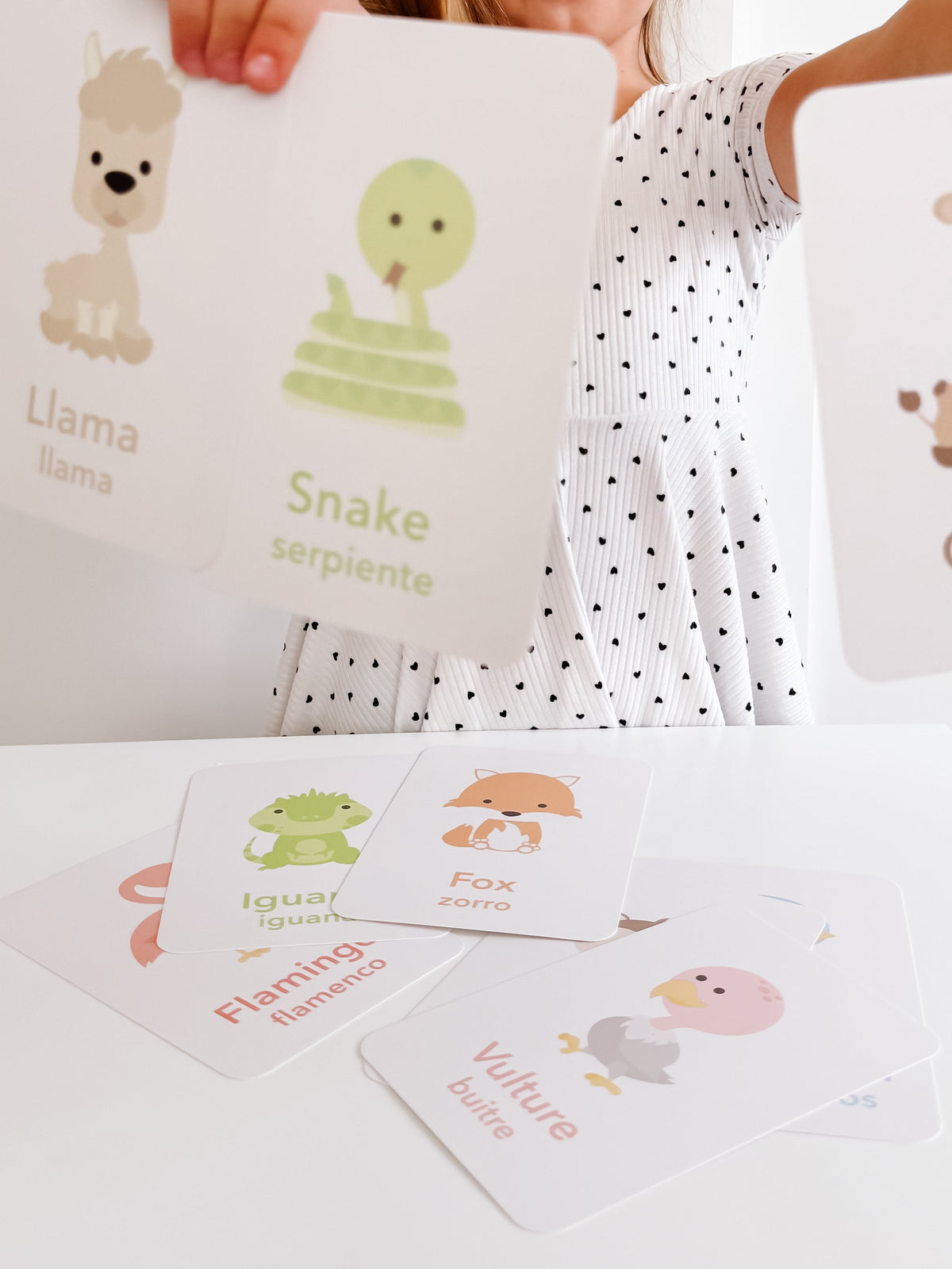 Desert Animal Flashcards - The Baby Penguin