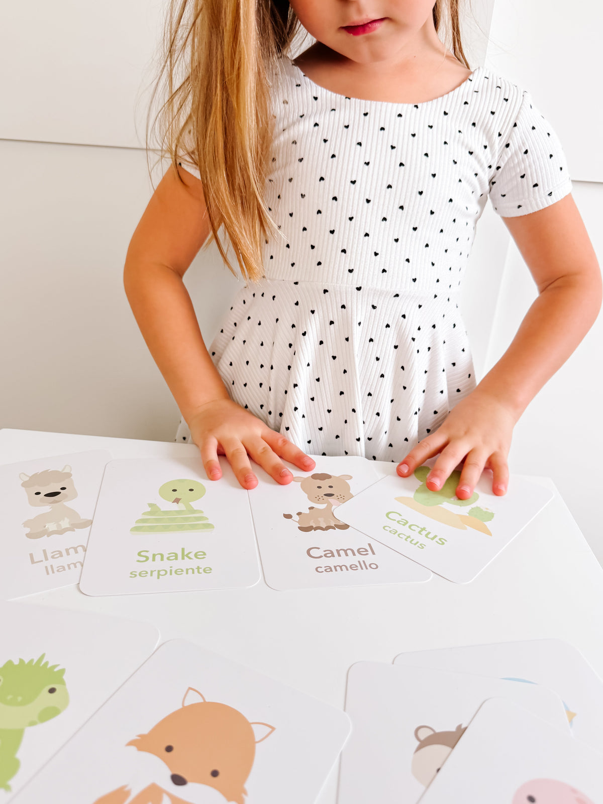 Desert Animal Flashcards - The Baby Penguin