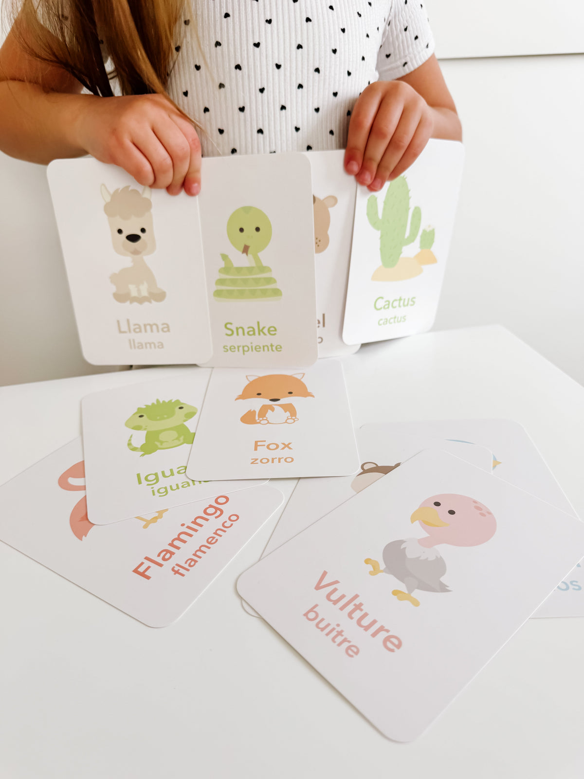 Desert Animal Flashcards - The Baby Penguin