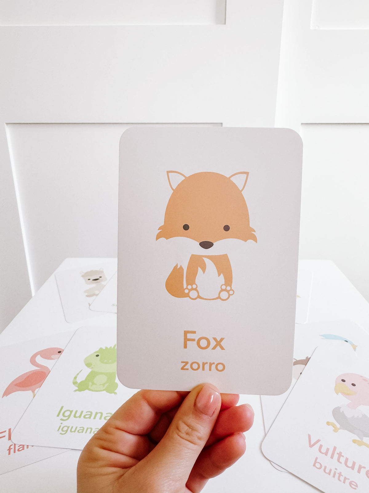 Desert Animal Flashcards - The Baby Penguin