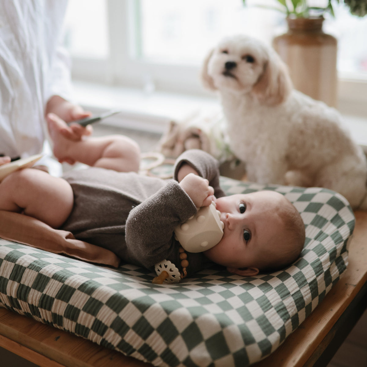 Dice Press Toy - The Baby Penguin