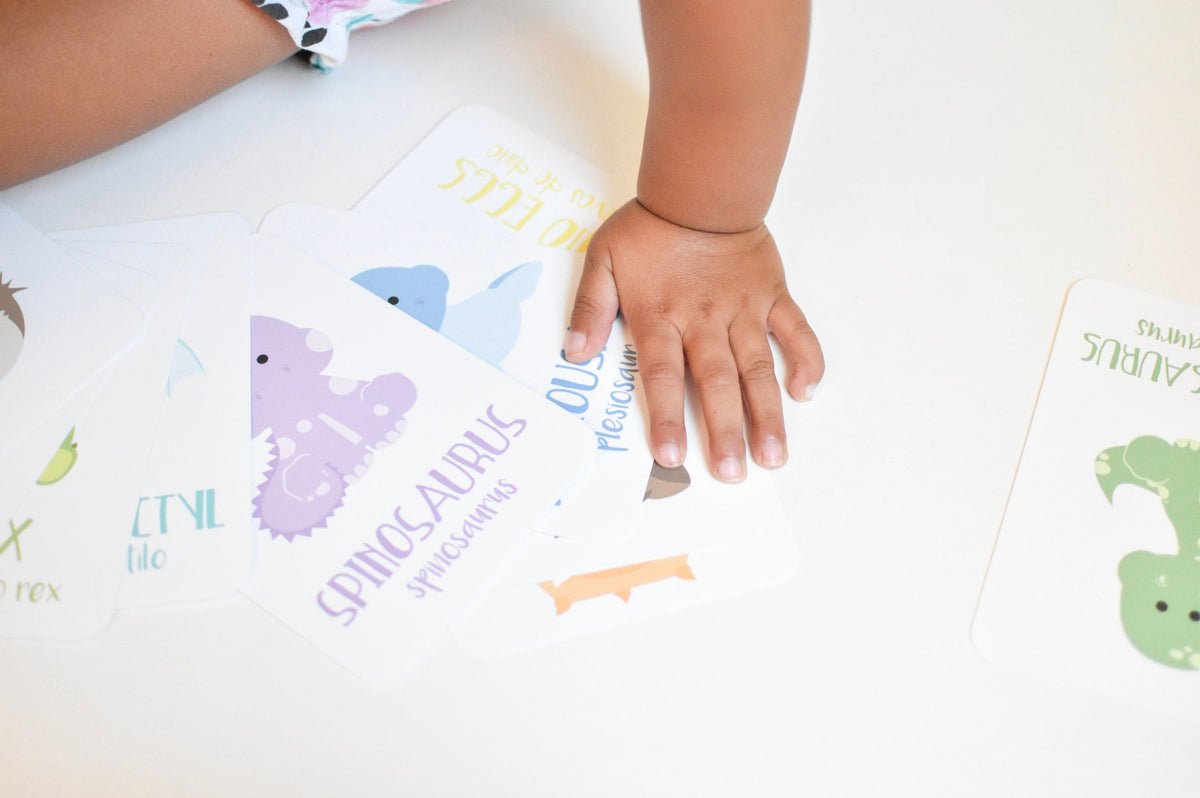 Dinosaur Flashcards - The Baby Penguin